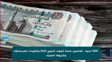 1500 جنيه.. تفاصيل منحة المولد النبوي 2025 والفئات المستحقة وشروط الصرف